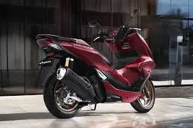 Honda pCX 2024 / Bulan